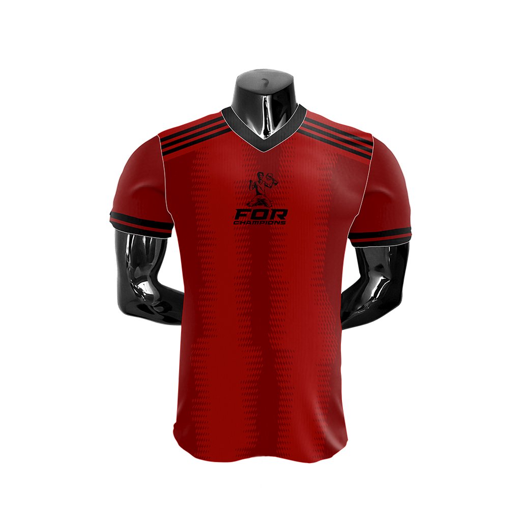 Camiseta (Modelo Prata)